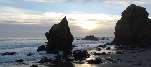 Malibu and Santa Barbara Coast